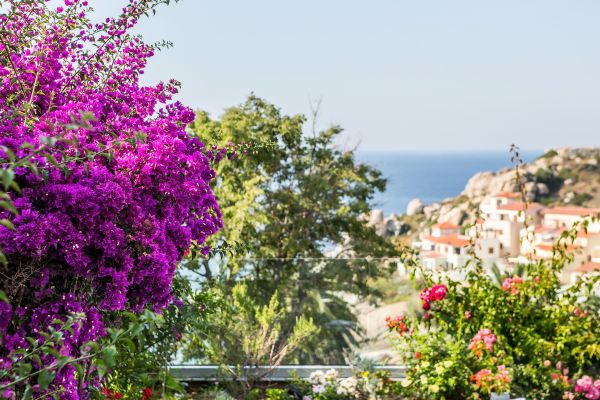 Jardins de l'hôtel à Calvi en Corse